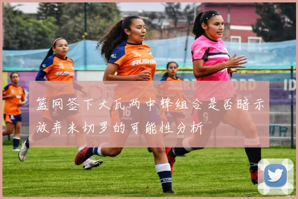 篮网签下大瓦两中锋组合是否暗示放弃米切罗的可能性分析